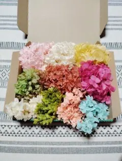 Item thumbnail for item 3c6af4e2-b938-4327-a6eb-a009bf5d91ba