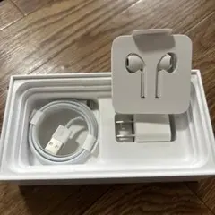 Apple イヤホン/ケーブルセット