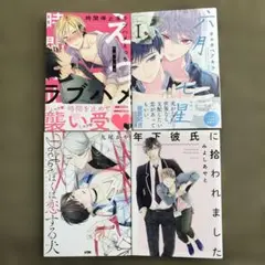 BLコミックセット 在庫整理品