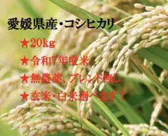令和7年　兵庫県丹波産 農薬、除草剤不使用　新米コシヒカリ20キロ 5ca6432bf1ec416633427b2fc2f3bb 米・雑穀・粉類