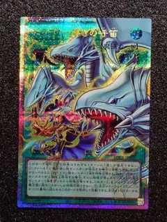 ドラゴン・導きの呼笛　オーバーフレーム　プリズマ　プリシク