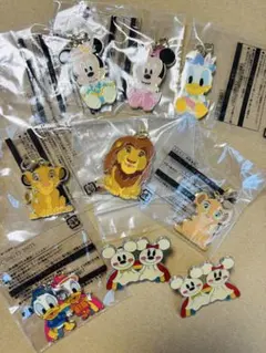 ディズニーリゾート 非売品 チャーム ピンバッジ 9点