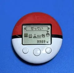 ポケウォーカー 本体のみ Nintendo DS ポケモン ポケットモンスター