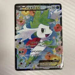 【PSA10】シェイミEX SR シャイニーコレクション SC / シャイニーコレクション