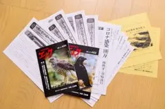 2026年最新】宇野_正美の人気アイテム - メルカリ