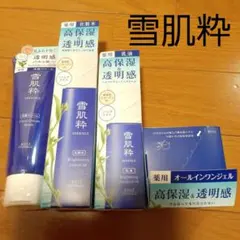 雪肌粋　洗顔　化粧水　乳液　オールインワン　セット　まとめ売り　新品