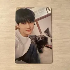 enhypen2025 アンケート 限定 トレカ ジョンウォン