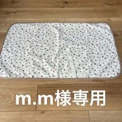 Item thumbnail for item 974db21a-424f-4cbe-b3f8-ab04ae908386