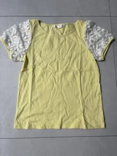 Item thumbnail for item 5cfd5ab5-4ada-4833-bb6f-4ecddffa1ff0