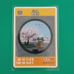 Item thumbnail for item 78b221e6-9748-4f70-9179-94d0532e8e27