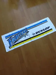 Item thumbnail for item f58e59da-fa74-454f-af01-506507cfd6a0