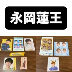 永岡蓮王 まとめ