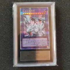 2026年最新】究極竜魔導師 25thの人気アイテム - メルカリ