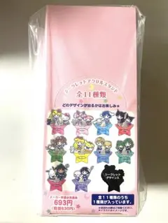 「劇場版セーラームーンEternal×サンリオ シークレットアクリルスタンド