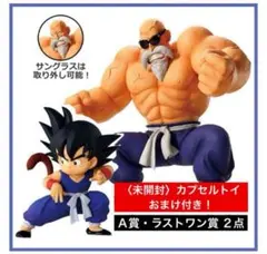 箱あり】一番くじドラゴンボールEX孫悟空修行編 ラストワン賞 亀仙人 F