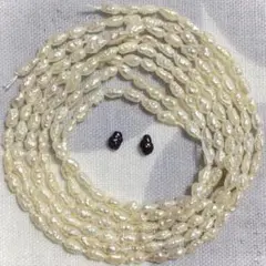 淡水ぱ 在庫整理のためできるだけお安く？その⑤ 1連40.5cmくらいを2本っ！