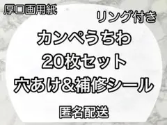 ファンサ カンペ うちわ 白紙 20枚セット 8