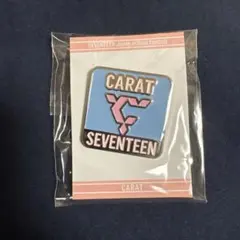 セブチ SEVENTEEN ファンクラブ特典　ピンバッチ