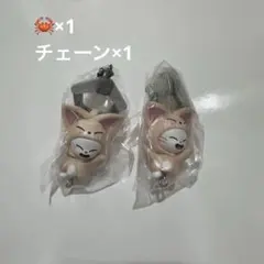 SKZOO つまんでつなげてますこっとvol.2 ジニレット チェーン カニカン