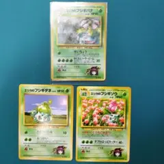 旧裏　エリカのフシギバナ 　進化ラインおまけ