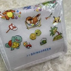 BRINGGREEN ポケモン 保冷バッグ ポーチ　オリヤン　ノベルティ　新品