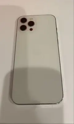 iPhone12 promax 256GB