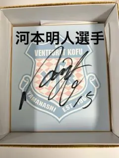 レア　ヴァンフォーレ甲府　木製ボール　台座付　選手　直筆サイン　2001 レア ヴァンフォーレ甲府 木製ボール 台座付 選手 直筆サイン 2001