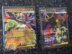 メガジガルデex sr&rr