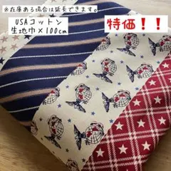 《USAコットン》アメリカンなストライプ柄 ユニーク 星条旗