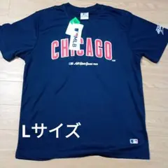 Item thumbnail for item bd613110-2095-40b3-bd2b-ee65453cfde7