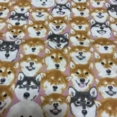①柴犬⭐️ドッグフェイス柄オックス生地⭐️ピンク
