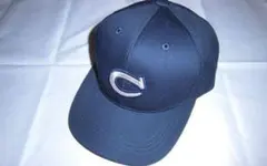 2025年最新】中京大中京 帽子の人気アイテム - メルカリ