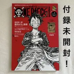 ワンピース 趣味