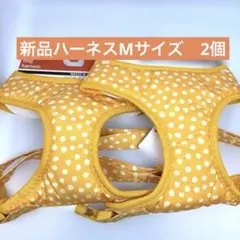 Item thumbnail for item c83422e2-2179-4437-894f-59783fe2d1a2