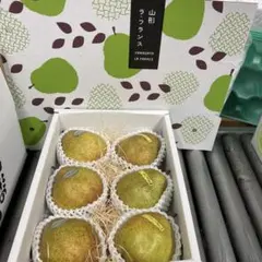 コジコジ様専用