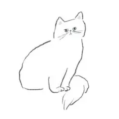 ひろりん様専用