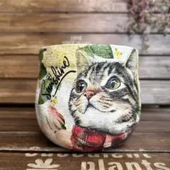 小林佐和子 茶碗 猫 sawako kobayashi 人気陶芸家 人気作家 - メルカリ