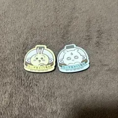 うさぎ　あのこ　マグネット　くら寿司