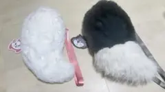 マリー おしゃれキャット マルチポシェット しっぽ チャーム付き(他ルシファー