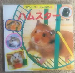 Item thumbnail for item a9c78a02-7eb6-4500-81dd-ae6fc407cb66