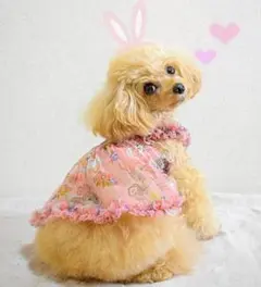A ToyBunny AiryチュニックCircusCircusサーカスサーカスのサムネイル