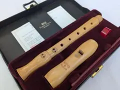 2025年最新】メック リコーダーの人気アイテム - メルカリ