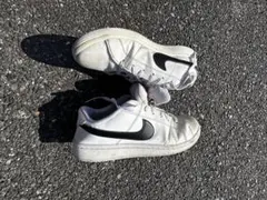 溜*様 NIKEスニーカーコートビジョン
