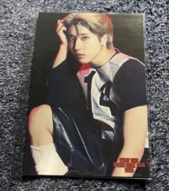 ねこ様 リクエスト 2点 まとめ商品