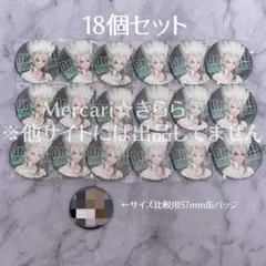 Dr.STONE 千空　2020年発売缶バッジ　18個セット