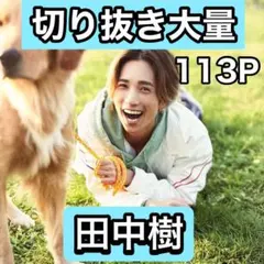 田中樹　切り抜き大量　12/16まで在庫セール