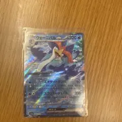 ウェーニバルex エラーカード