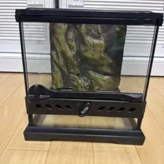 2025年最新】グラステラリウム ナノの人気アイテム - メルカリ