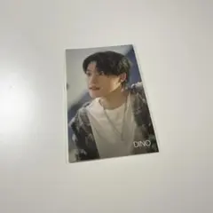 SEVENTEEN ディノ　トレカ　ステッカー