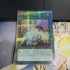 遊戯王 傷有】生還の宝札 パラレル SM-28 - メルカリ